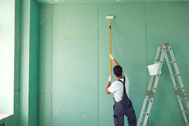 Trusted Daly City, CA Mold Removal Experts