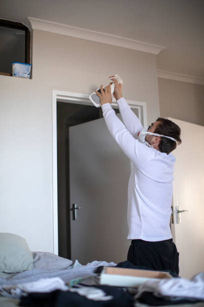 Best Comprehensive Air Testing for Mold Contaminants  in Daly City, CA