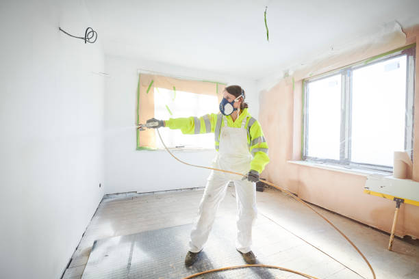 Best Mold Removal for HVAC Installations  in Daly City, CA