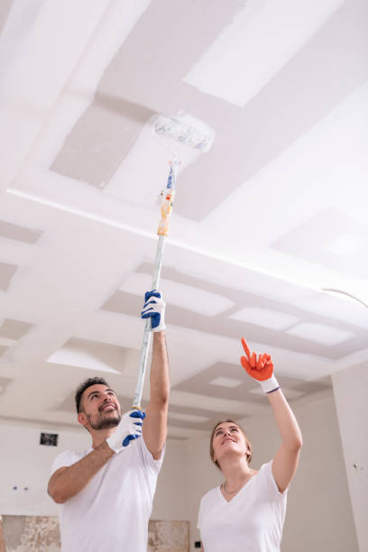 Best Dehumidification Services  in Daly City, CA